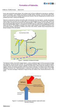Formation of Haboobs