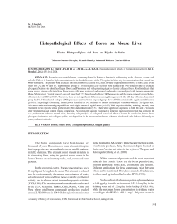 Histopathological Effects of Boron on Mouse Liver
