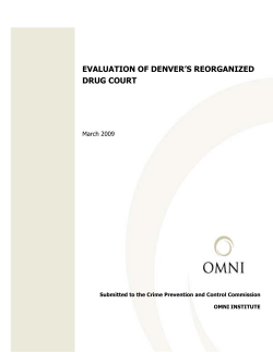 2009 Drug Court Evaluation