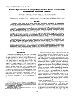 Neonatal Age and Period of Estrogen Exposure Affect Porcine