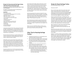 Other Tips for Roasting Heritage Turkeys - Bi