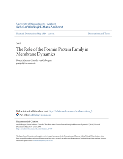 The Role of the Formin Protein Family in Membrane Dynamics