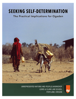 Seeking Self-Determination: The Practical Implications for Ogaden