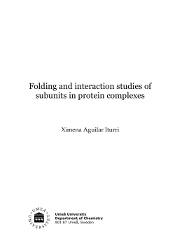 Folding and interaction studies of subunits in protein