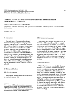 Ammonia, O2 uptake and proton extrusion by spheroplasts of
