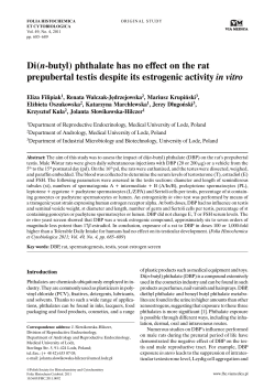 Di(n-butyl) phthalate has no effect on the rat prepubertal testis