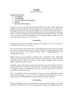 Giardia - Attica Veterinary Associates