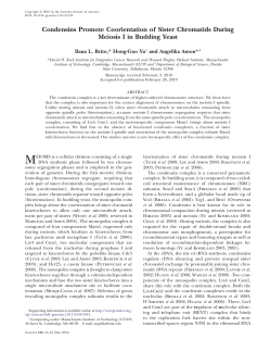 Condensins Promote Coorientation of Sister Chromatids