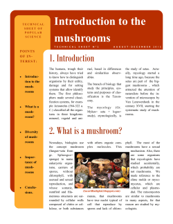 Introduction to the mushrooms