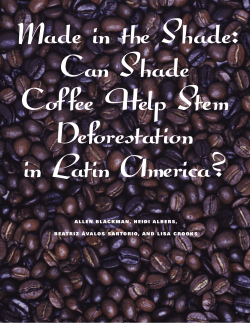 Can Shade Coffee Help Stem Deforestation in Latin America?