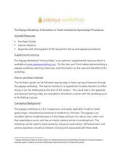 Papaya Workshop: Overview Instruction Guide