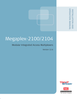 Megaplex-2100/2104