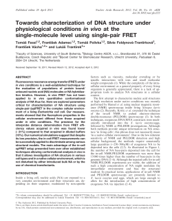 Towards characterization of DNA structure under