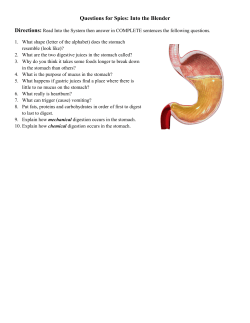 Questions for Spies: Into the Blender