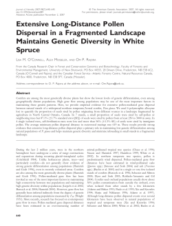 Extensive Long-Distance Pollen Dispersal in a Fragmented
