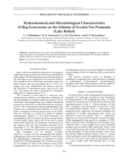 Hydrochemical and Microbiological Characteristics of Bog