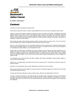 Summary - Bookwolf.com