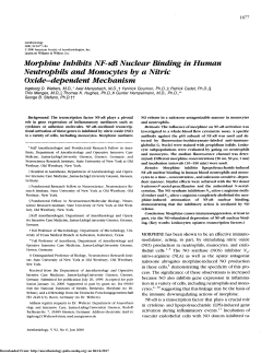 Morphine Inhibits NF-&kappa;B Nuclear Binding in