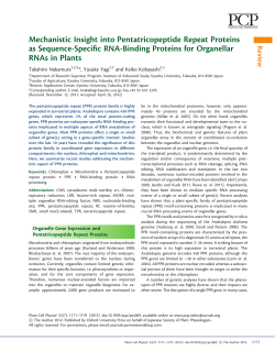 Mechanistic Insight into Pentatricopeptide Repeat Proteins as