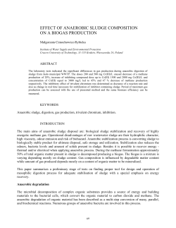 effect of anaerobic sludge composition on a biogas production