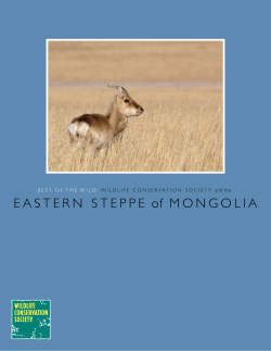 EASTERN STEPPE of MONGOLIA