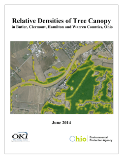 Relative Densities of Tree Canopy