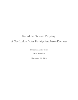 Beyond the Core and Periphery: A New Look at Voter Participation