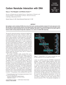Carbon Nanotube Interaction with DNA