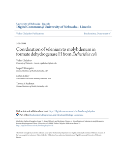 Coordination of selenium to molybdenum in formate dehydrogenase