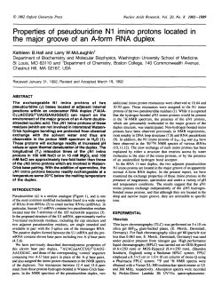 Properties of pseudouridine N1 imino protons located in the major