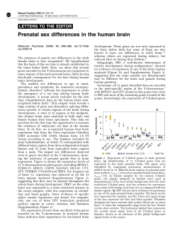 Prenatal sex differences in the human brain