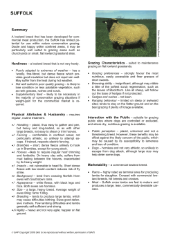 suffolk - Grazing Animals Project