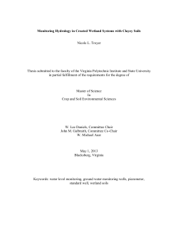 Monitoring Hydrology in Created Wetland Systems
