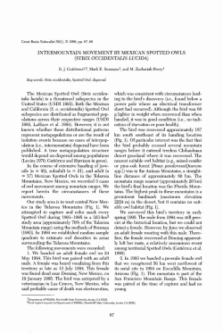 INTERMOUNTAIN MOVEMENT BY MEXICAN SPOTTED OWLS