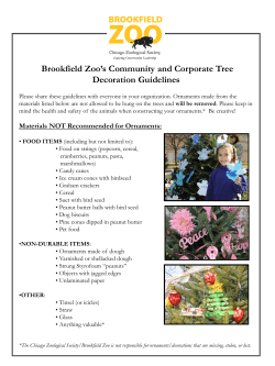 Brookfield Zoo`s Community and Corporate Tree Decoration