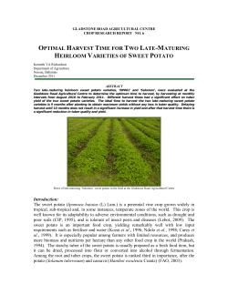 06 Optimal Time to Harvest of Two Late Maturing Sweet Potato