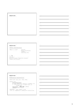 Adjectives Adjectives Adjectives