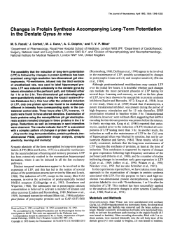Changes in Protein Synthesis in the Dentate Gyrus in viva