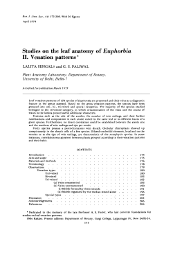 Studies on the leaf anatomy of Euphorbia: II. Venation patterns