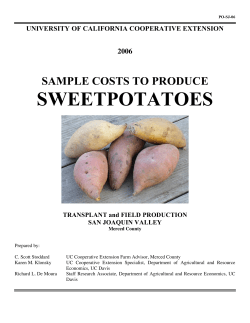 Sweet Potatoes