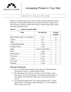 Increasing Protein in Your Diet