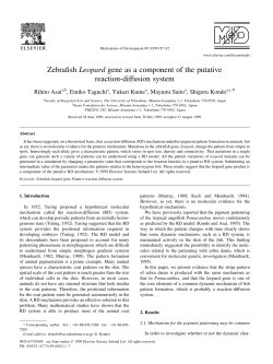 Zebrafish Leopard gene as a component of the