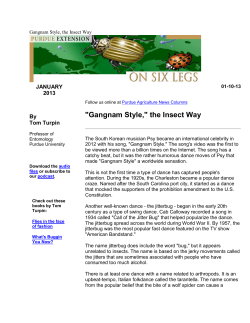 "Gangnam Style," the Insect Way