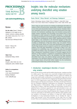 Insights into the molecular mechanisms underlying diversified wing