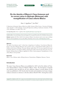 On the identity of Blanco`s Cissus frutescens and its
