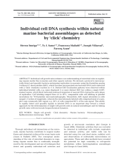 Individual cell DNA synthesis within natural marine bacterial