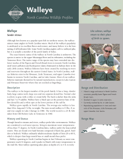 North Carolina Wildlife Proﬁles - North Carolina Wildlife Resources