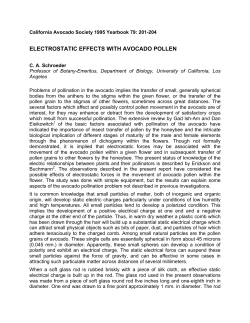 Electrostatic Effects with Avocado Pollen