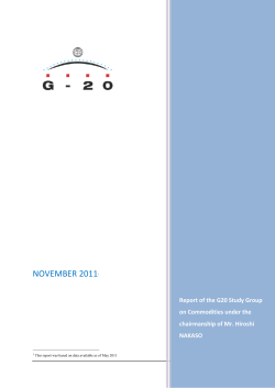 the G20 Study Group on Commodities