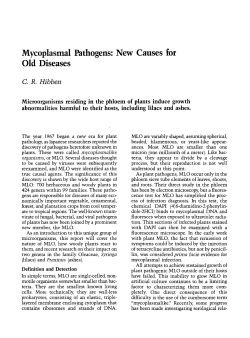Mycoplasmal Pathogens: New Causes for Old Diseases